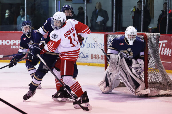 GALLERY: Red Wings roll over Gold Miners
